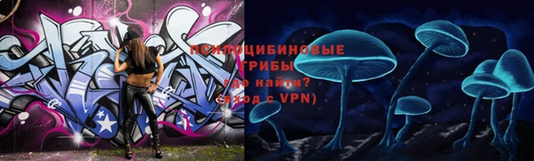 PSILOCYBIN Няндома